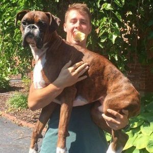 Meet your Posher, Nick